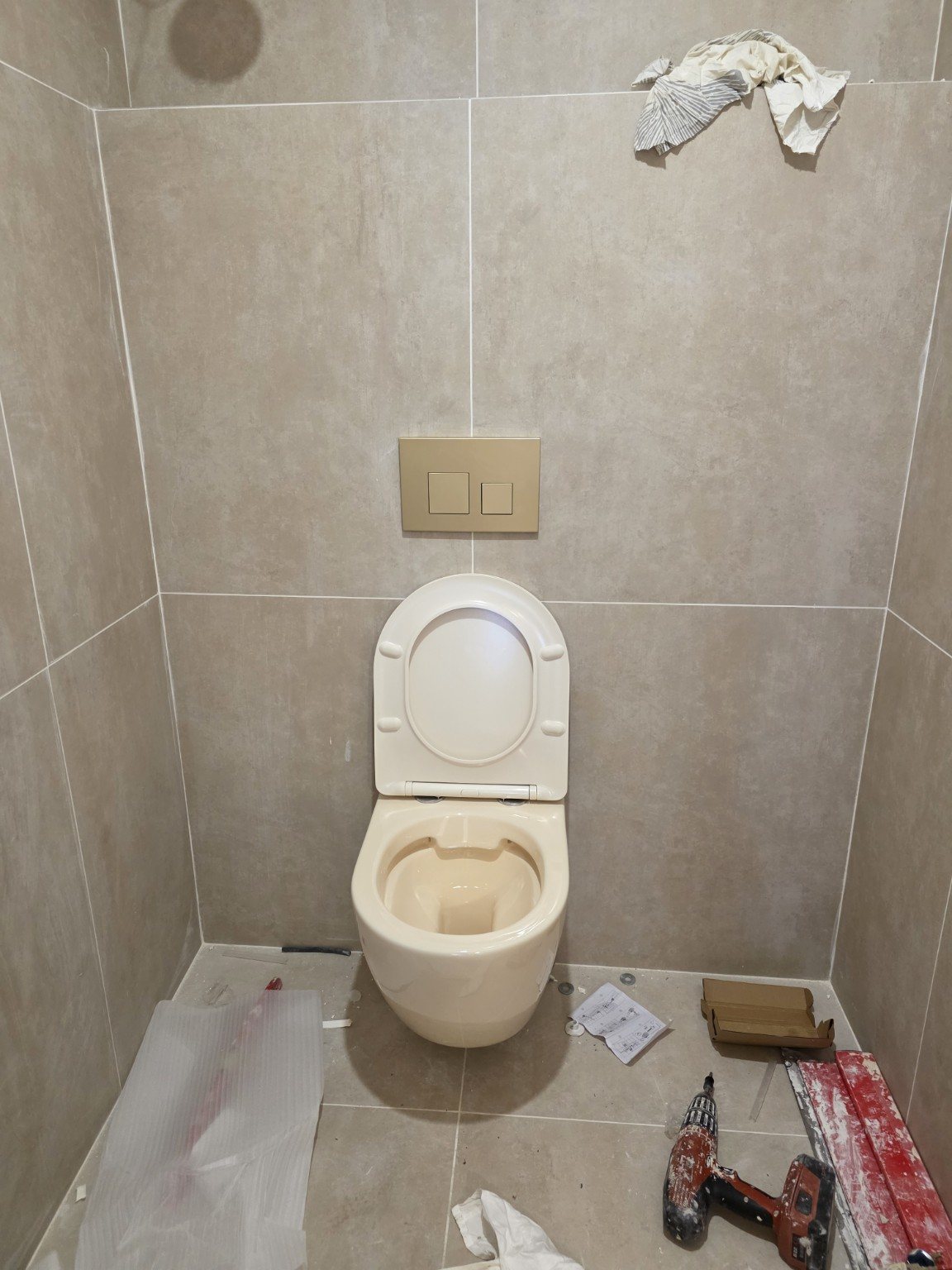 WC suspendu terminé avec plaque de commande laiton